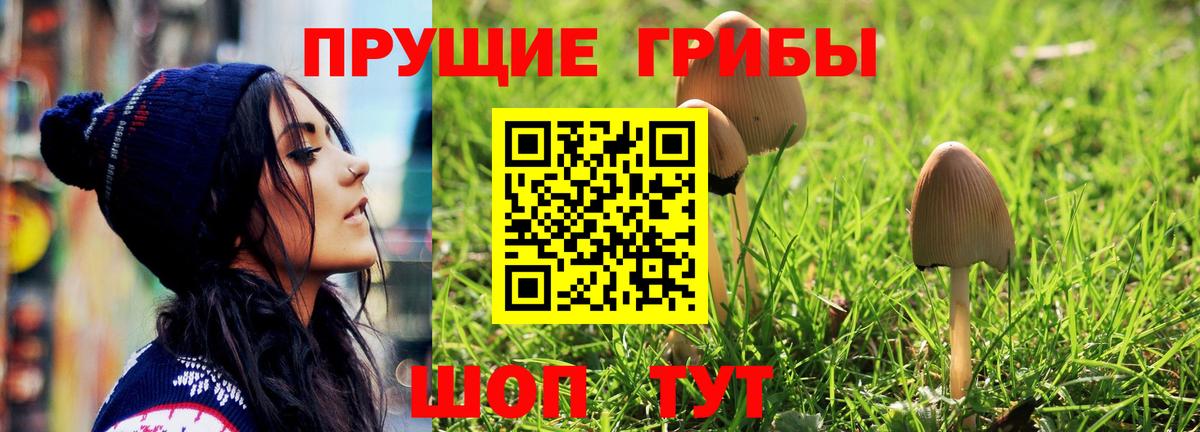 Псилоцибиновые грибы прущие грибы  Вход с VPN  Комсомольск-на-Амуре  наркотики  Псилоцибиновые грибы ЛСД 